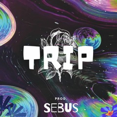 Trip - instrumental(Prod. Sebus)