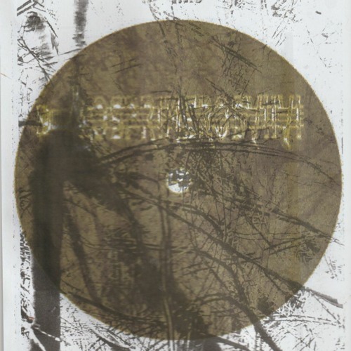 022222_2 [losprimerosVIIVI]