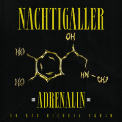 Nachtigaller - MVP (Original Mix) [No War Records]