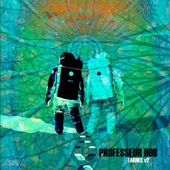 PROFESSEUR HOB - Tarnec V2