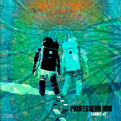 PROFESSEUR HOB - Tarnec V2