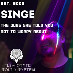 The Dubs She Told You Not To Worry About - Singe