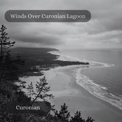 Winds Over Curonian Lagoon