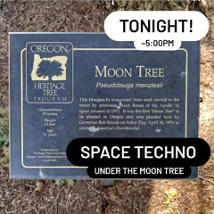Session 0014 (Space Techno under the Moon Tree)