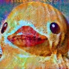 Memory Ducks