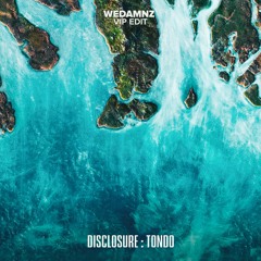 Disclosure - Tondo (WeDamnz VIP Edit)