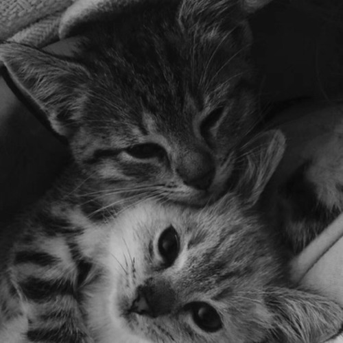 Выйдешь за меня Рем Дигга — cover
