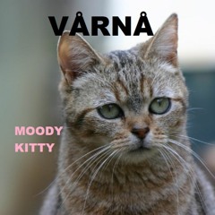 VÅRNÅ - Moody Kitty - Militia Underground - 05.12.2020