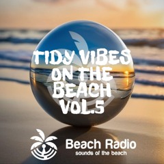 Tidy Vibes On The Beach 5