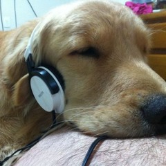 he is listening to this