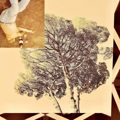 Brush