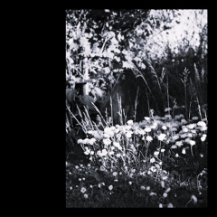 Pabaiga (Akli cover)