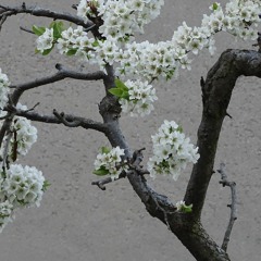(2022) March works