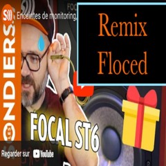 Shallow - Brains Remix - De - Floced