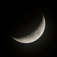 Untitled playlist