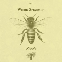 Wierd Specimen 21 - Ripple