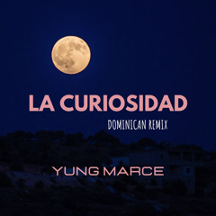 La Curiosidad - Remix