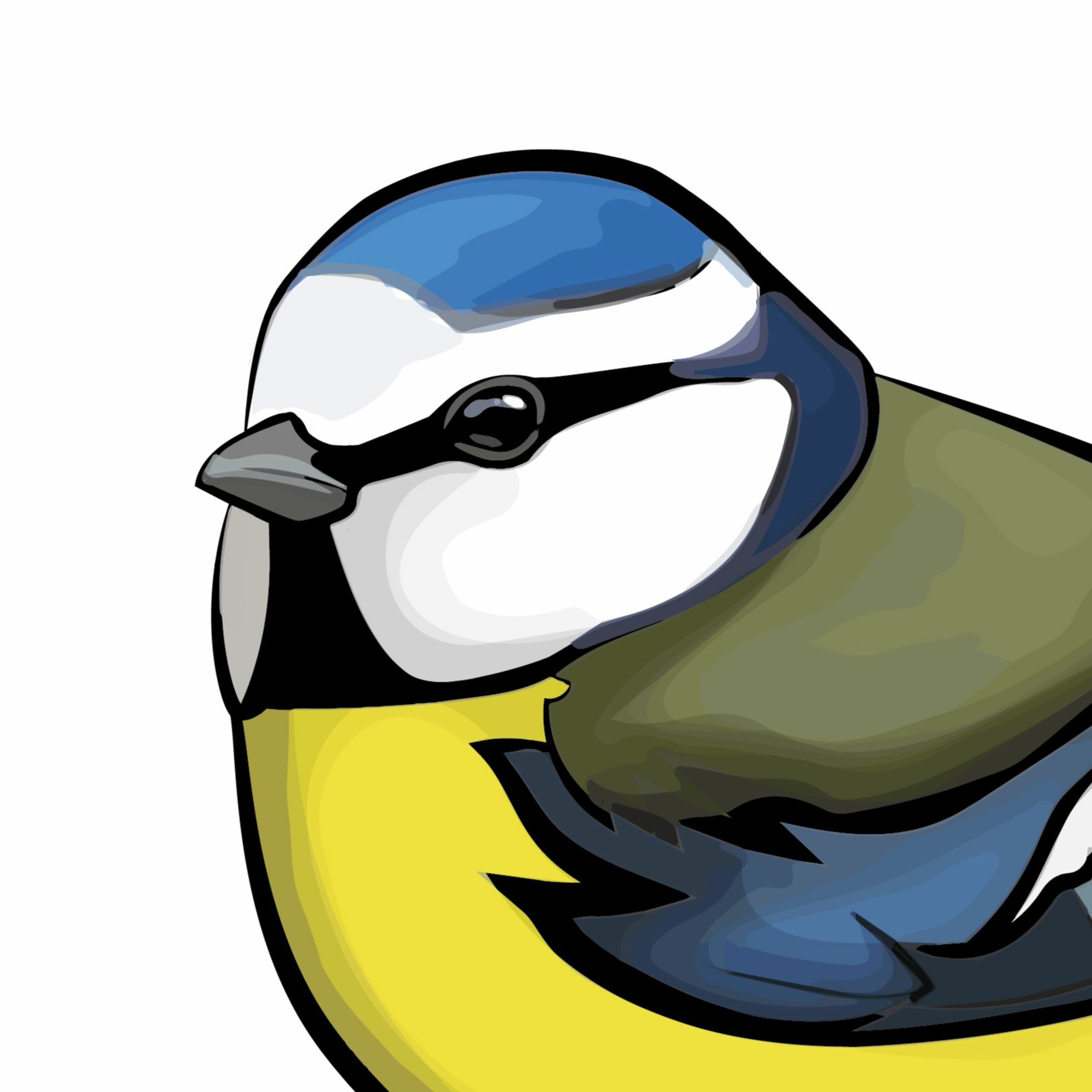 Pippipodden