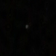 Phonk Music