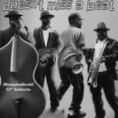 Doesn't Miss A Beat - (Hip-Hop Vinyl Mix)