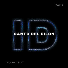 Canto del Pilon (TWINS 'Flama' ID by Rivoli Afro House Edit) - FILTERED