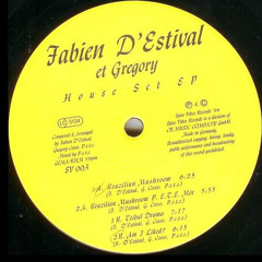 B2. Fabien D'estival Et Gregory - Am I Liked? [Spice Vibes Records - 1994]