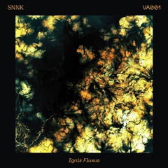 T-PREMIERE: Cheb Kerem - Take Care [SNNKVA001]