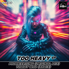 Too Heavy (Original Mix)