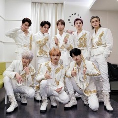 stray kids - dionysus cover (original by bts).mp3