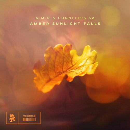 A.M.R & Cornelius SA - Amber Sunlight Falls