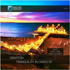 Tranquility in Chaos (Static Guru Remix)