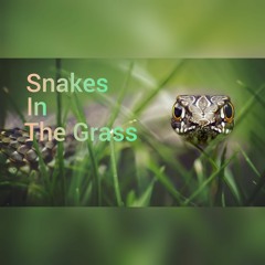 Casa, Twista - Snakes In The Grass