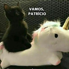 andando fast - @divieto669 @piccolonerva