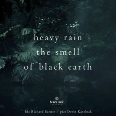 Black Earth [ naviarhaiku438 ]