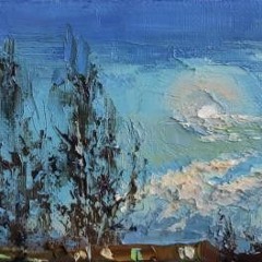 Без внимания