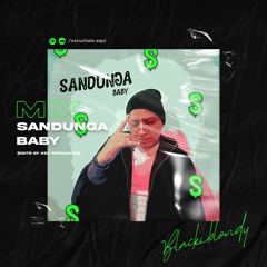 Sandunga Baby Mix 2021 - Blackiblondy Dj