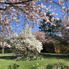 ed sheeran | thinking out loud, lovely piano