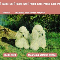 theories & Valentin Wedde [Pause-Café on GDS.FM Episode 8]