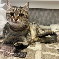 I need time to think about life