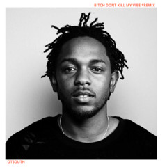 Bitch Don't Kill My Vibe (Afro House Remix)