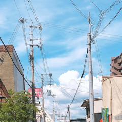夏