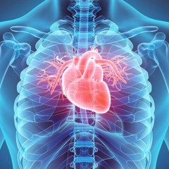 Factores De Riesgo Cardiovascular