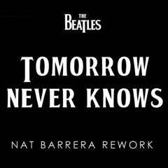 The Beatles - Tomorrow Never Knows (Nat Barrera Rework)