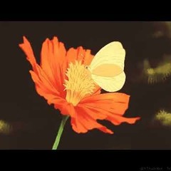 travis scott ~ butterfly effect (slowed + reverb)