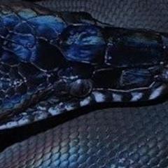 cancion d amor y muerte