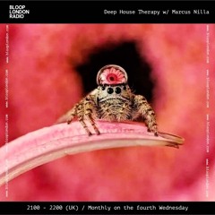 Deep House Therapy w/ Marcus Nilla - 28.08.25 🇺🇸