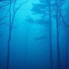In the Dark
