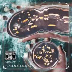 Premiere: E11 - Nocturnal Antennae [MCR133]