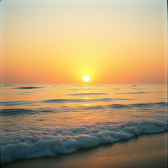 For Loveliness