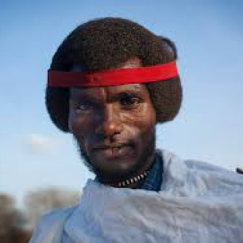 Dagaagsaa Seenaa Durée ABO'tiin